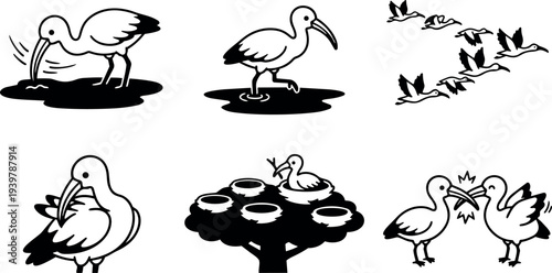 Line art black ibis icon set showing feeding bird standing in water flock flying preening nesting chicks and confronting pair