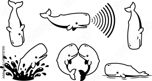 Line art whale icon set showing sperm whales in playful poses splash sonar kissing pair and resting views detailed collection