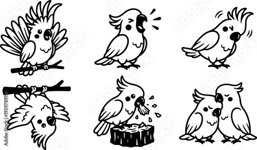 Line art cockatoo set showing six playful poses including perching, singing, upside down hanging, crest ruffling, eating from stump, and affectionate cuddling