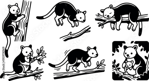 Line art vector set of posed possum illustrations climbing eating sleeping and resting on branches in bold black outline icons