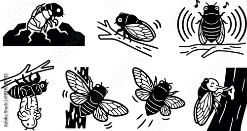 Vector icon set close up cicada on branch singing and emerging from shell in bold black silhouette flat design minimal illustration