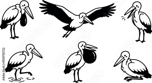Line art pelican set showing six poses including flying with wings spread, feeding with pouch, wading and resting profile close up