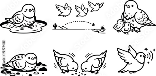 Line art vector close up pigeon and dove characters bathing, flying, feeding chicks and foraging in simple icon set playful cute