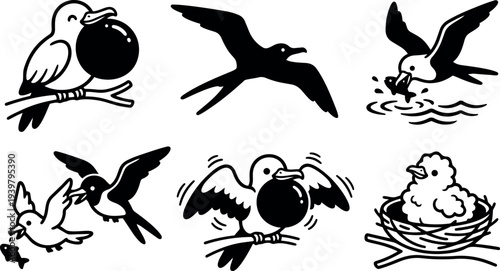 Line art seabird icon set showing tern and chick in nest multiple poses feeding flying perched close up simple black vector