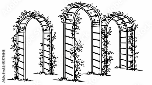 Garden Arbor Archways Covered in Climbing Vines for Landscape Design Projects and Summer Wedding Decor