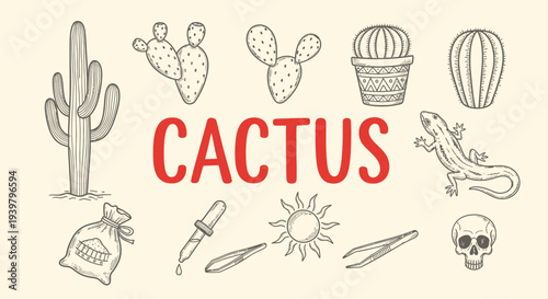 Cactus desert plants and objects.