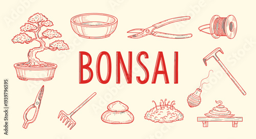 Bonsai tree care tools illustration.