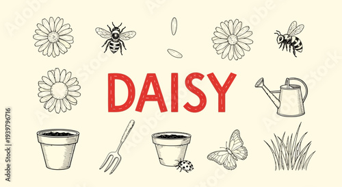Daisy flowers and gardening tools icon set.