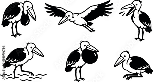 Line art vector bird icon set showing marabou stork poses including flying, wading, puffed throat, standing, calling, resting, close up profile