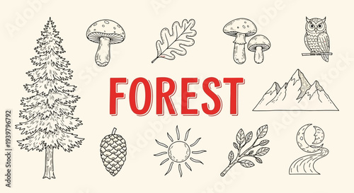 Forest Nature Elements Icon Set Illustration.