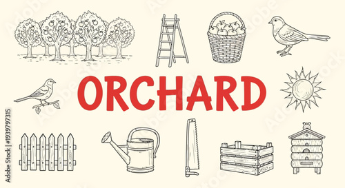 Orchard farm landscape with trees and tools.