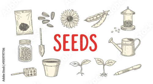 Variety of seeds and gardening tools.