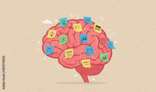  Idea memo, brainstorm or scrum sticky notes, productive plan, memory task reminder, arrangement, thought and wisdom concept, businessman sticky notes human red brain.