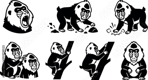 Tattoo flash mandrill monkey icon set showing grooming climbing roaring sitting and foraging poses in bold black vector line art