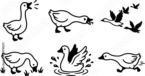Line art vector set of six goose and duck icons showing grazing, swimming, flying, running and calling in black strokes