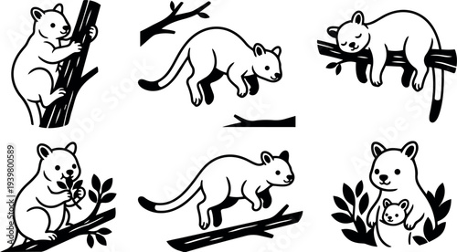 Line art minimalist possum and joey vector icon set showing climbing sleeping feeding cute poses on branches black and white