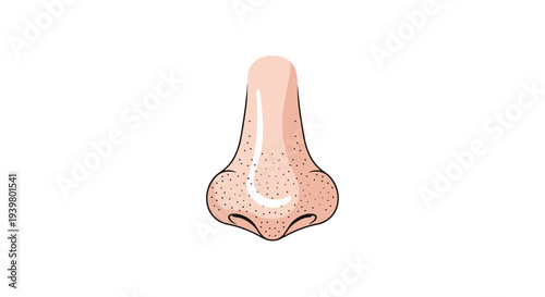 A cartoonish human nose with visible pores and a distinct outline is presented centrally on a clean white background.