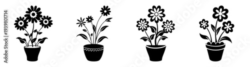 Four black and white line art potted flowers growing in minimalist plant pots isolated on white background