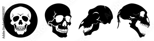 Minimalist black and white skull illustrations set vector isolated on transparent background for halloween gothic design