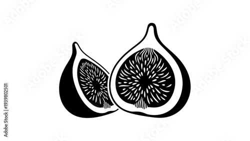 Hand-drawn fig fruit slice illustration in black and white.