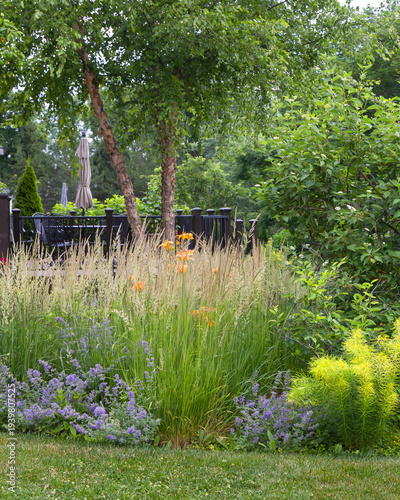 Photos Karl Foerster reed grass and blooming purple catmint planted along a side yard e