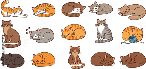 Sleeping Cats Vector Set Featuring Cute Cats Napping, Curling Up, and Playing with Yarn