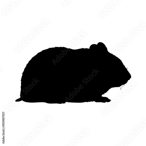 Hamster silhouette vector illustration