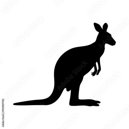 Kangaroo silhouette vector illustration