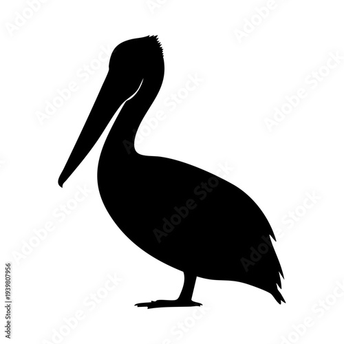 Pelican silhouette vector illustration