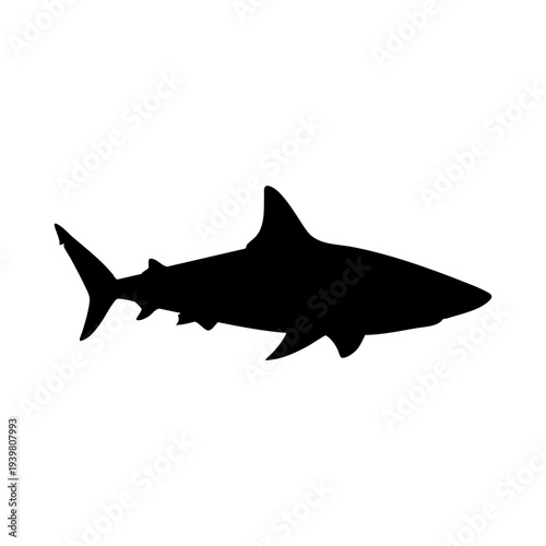 Shark silhouette vector illustration
