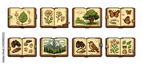 Open nature guides showing plants and animals on plain background