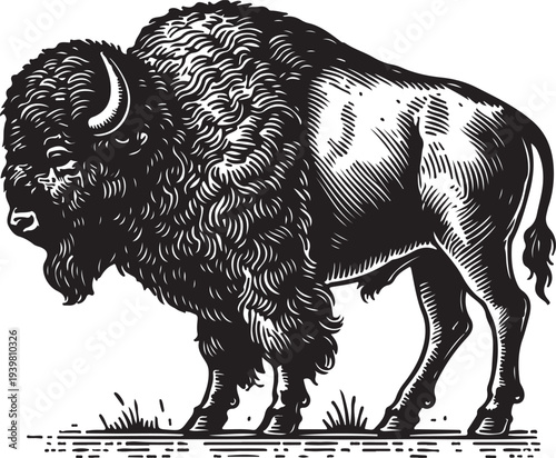buffalo, showcasing its textured fur, strong build, and iconic horns in striking detail sketch engraving generative ai PNG illustration. Scratch board imitation. Black and white