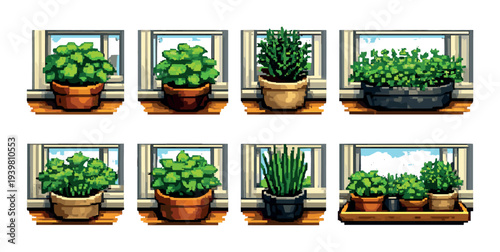 Eight potted green plants arranged on windowsills inside room