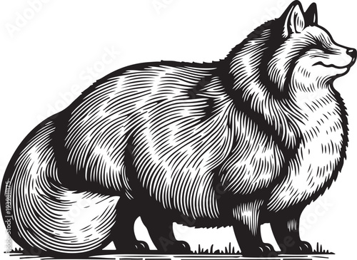 Fluffy fat chubby Fox sketch engraving generative ai vector illustration. Scratch board imitation. Black and white