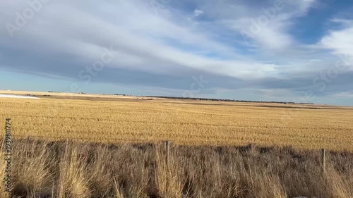 Driving through golden prairie farmland under wide blue sky in rural Alberta countryside landscape