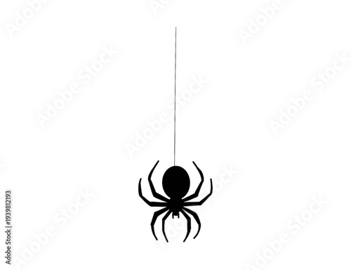 Hanging Spider Silhouette Isolated on Transparent Background
