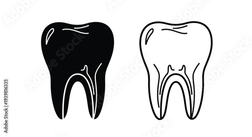 Tooth decay vs healthy tooth Vector