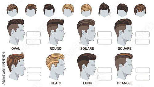 Men's Hairstyles Guide: Face Shape Compatibility for Modern Cuts, Oval, Round, Square, Heart, Long, Triangle Head Shapes, Visual Comparison Chart, Vector Illustration