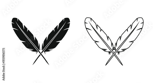 Elegant feathers & butterfly wings art Vector