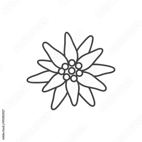 A simple, outline drawing of an edelweiss flower with its characteristic star shape and fuzzy center, set against a white background.