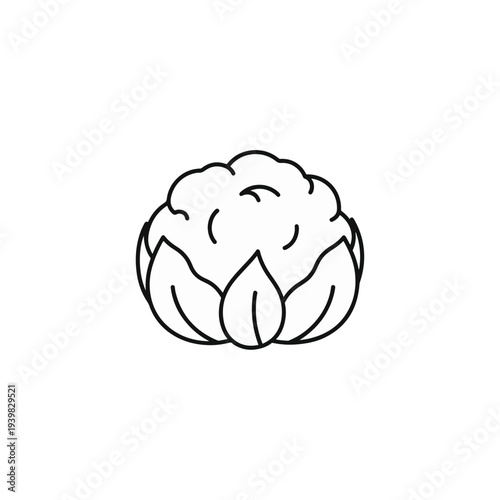 Simple line art illustration of a cauliflower or broccoli head with green leaves at its base, set against a white background.