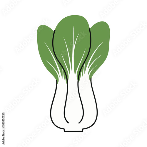 A stylized, flat illustration of bok choy with white stems and green leaves.