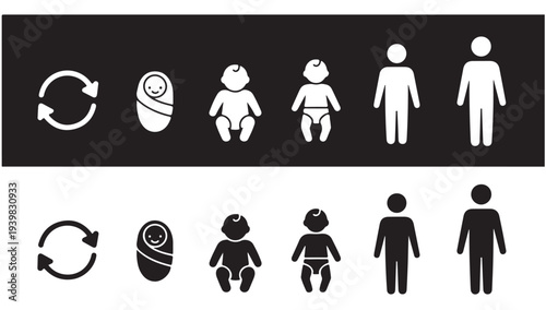 Life cycle transformation icons from newborn to adult