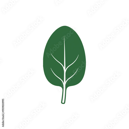 A minimalist, dark green leaf icon with prominent veins on a white background. It resembles a spinach or salad leaf, representing nature, health, or food.