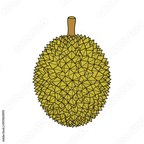 A minimalist illustration of a durian fruit, featuring its iconic spiky exterior and a short stem. The fruit is presented against a clean white background.