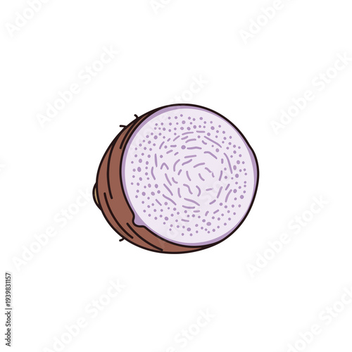 A cut taro root is depicted with its purple, speckled flesh and brown, fibrous exterior against a white background.