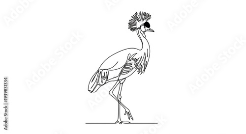 Black and white illustration of a crested bird with long legs standing on a white background elegant and simple design