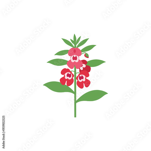 A flat vector illustration of a plant with green leaves and multiple vibrant pink-red flowers blooming along its stem, set against a white background. Simple botanical icon.