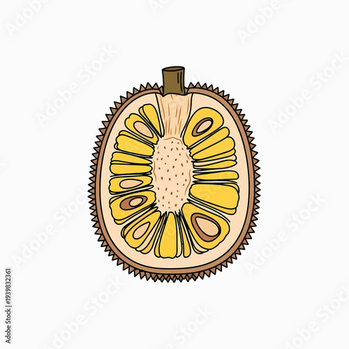 Cross-section illustration of a jackfruit, revealing its internal structure with numerous yellow fleshy pods, some containing seeds, and a central core against a white background.
