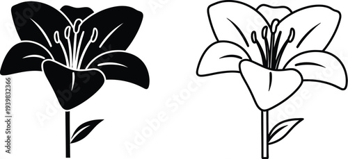 Black and white lily flowers illustration isolated on transparent background, Vector